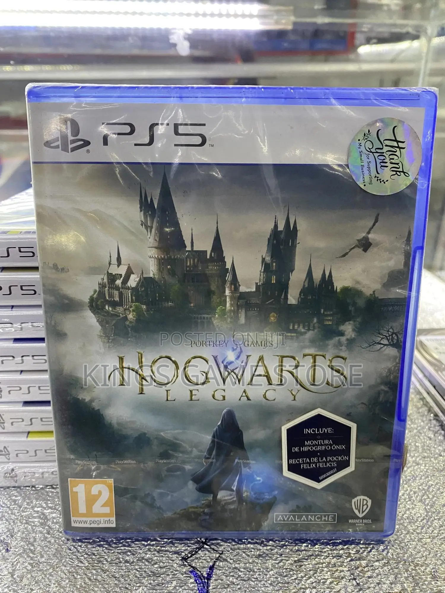 Hogwarts Legacy Ps5