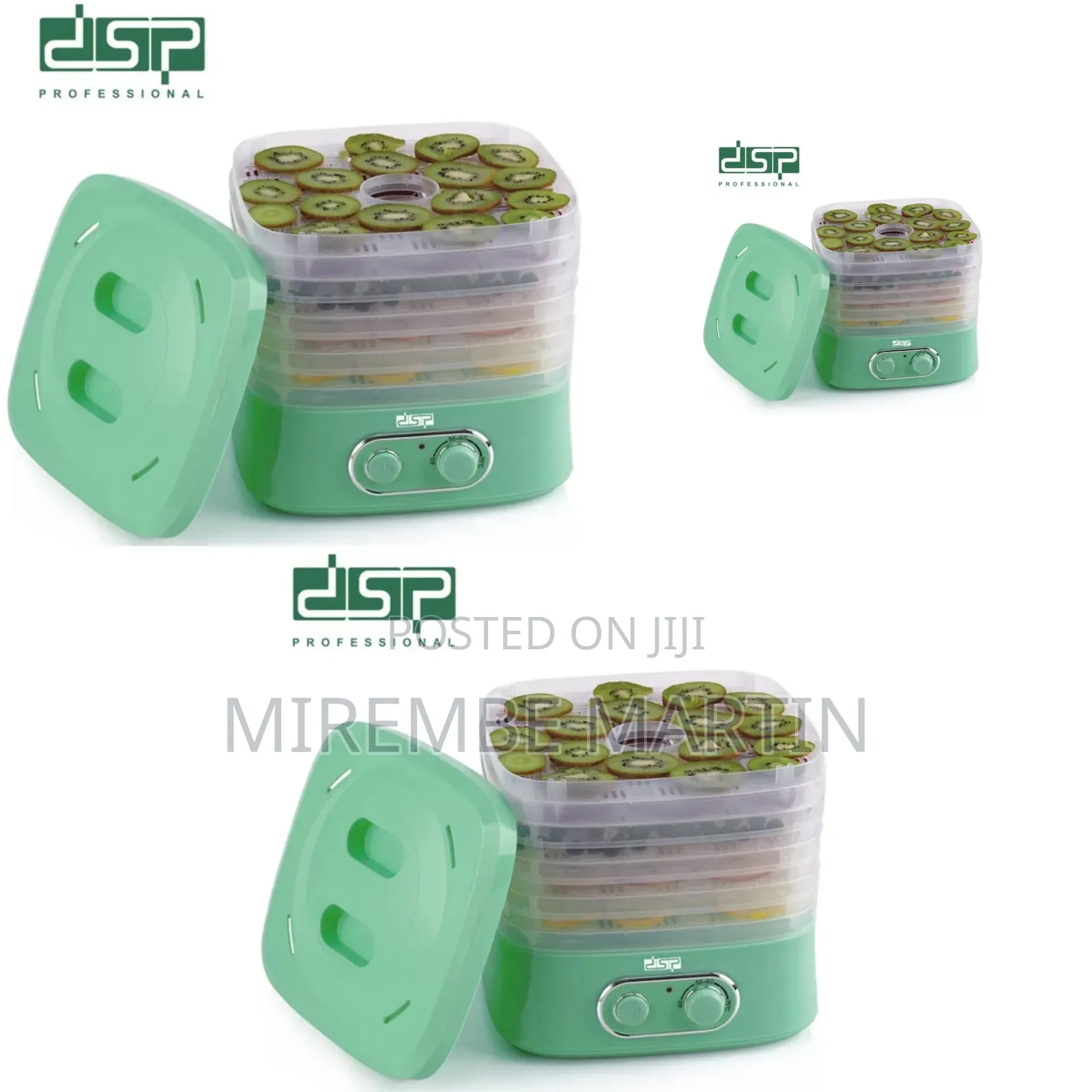 Electric DSP Food Dehydrator