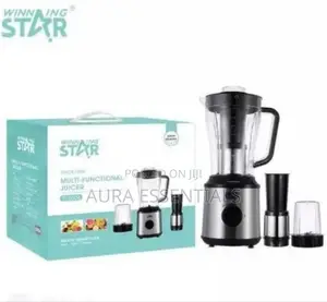 Winning Star 3 in 1 Multifunctional Fruits Electric Blender