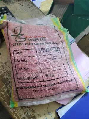 Maize Seeds Longe 5 5kg