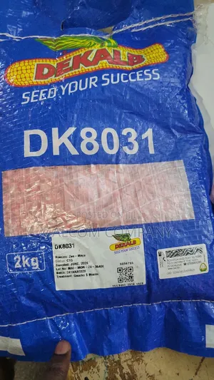 Dk 8031 Hybrid Maize Seeds 2kg