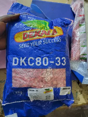 Dk 80-33 Hybrid Maize Seeds 2kg.