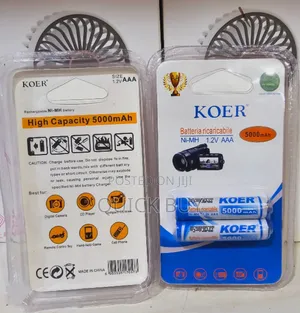 Premium Heavy Duty Koer AAA Rechargeable Batteries