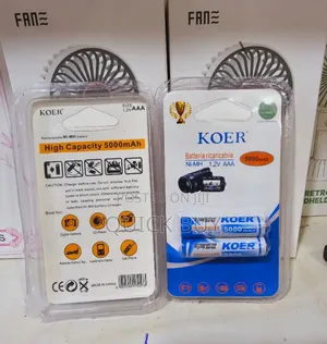 Premium Heavy Duty Koer AAA Rechargeable Batteries