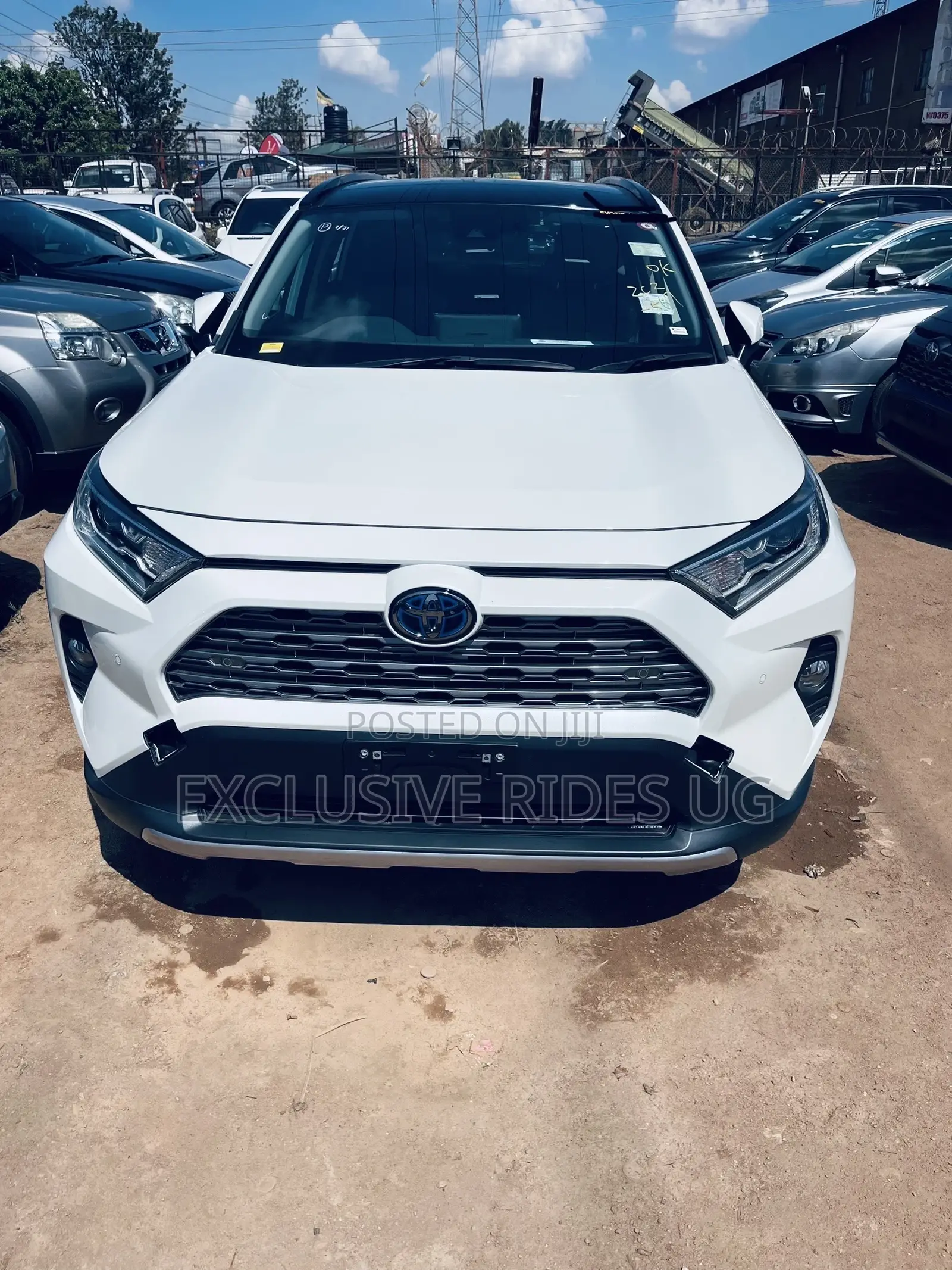 Toyota RAV4 Limited 4dr SUV (2.5L 4cyl 6A) 2018 White