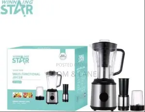 Winning Star 3in1 Multifunctional Fruits Electric Blender