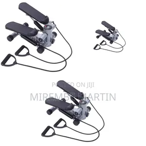 Mini Gym Stepper