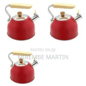 Stainless Steel Teapot Kettle