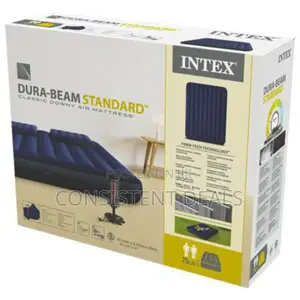 Intex 5x6 Inflatable Air Mattress With Pillows and Pump