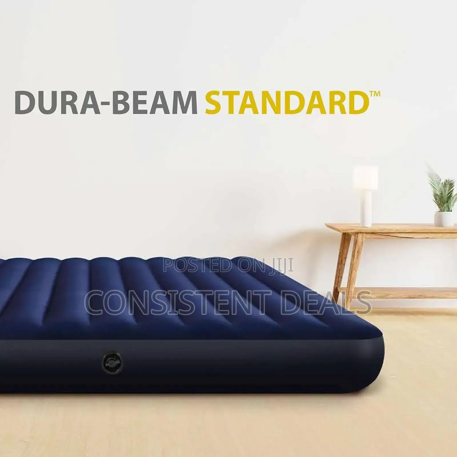 5x6 Intex Inflatable Air Mattress