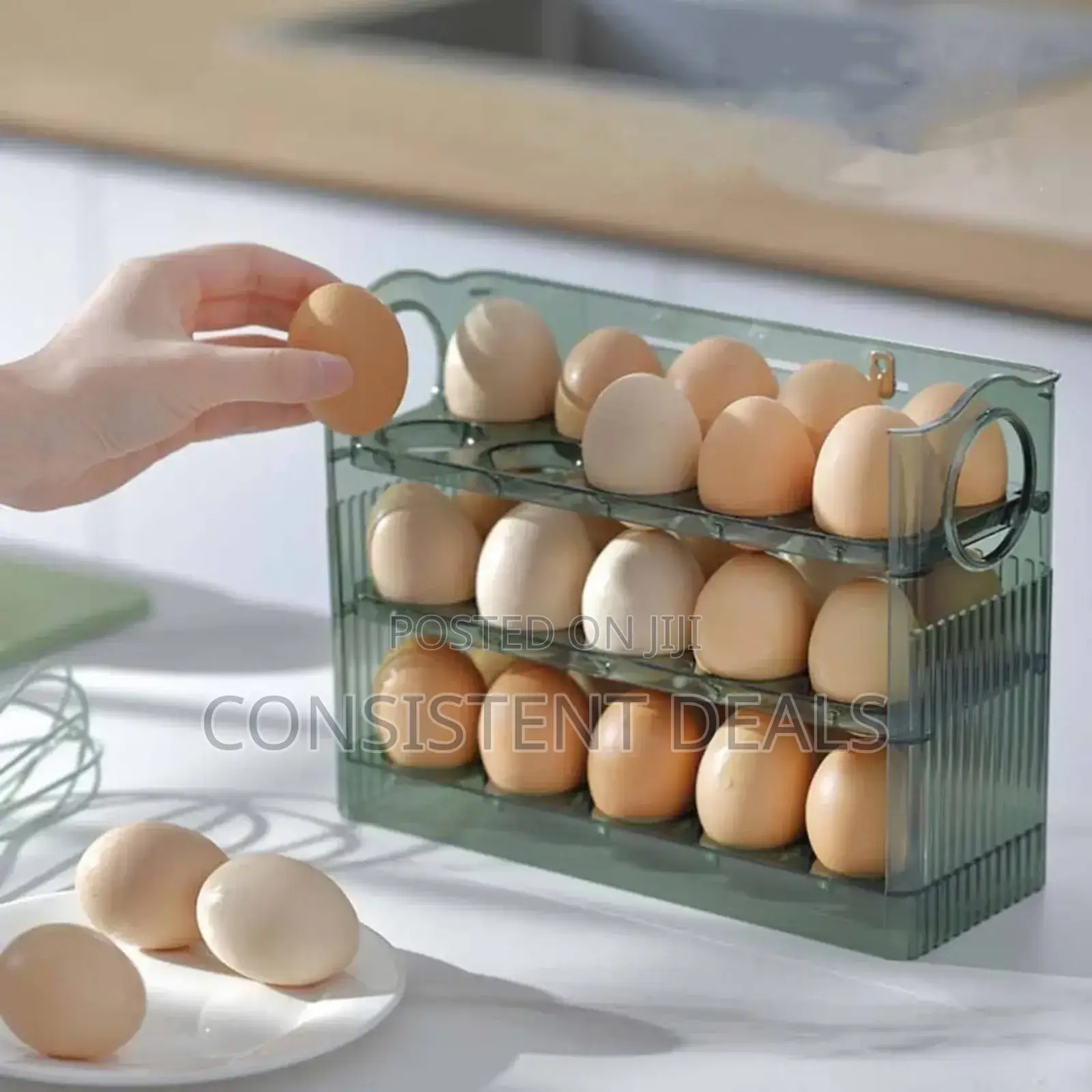 Egg Storage Box