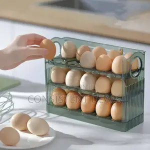 Egg Storage Box
