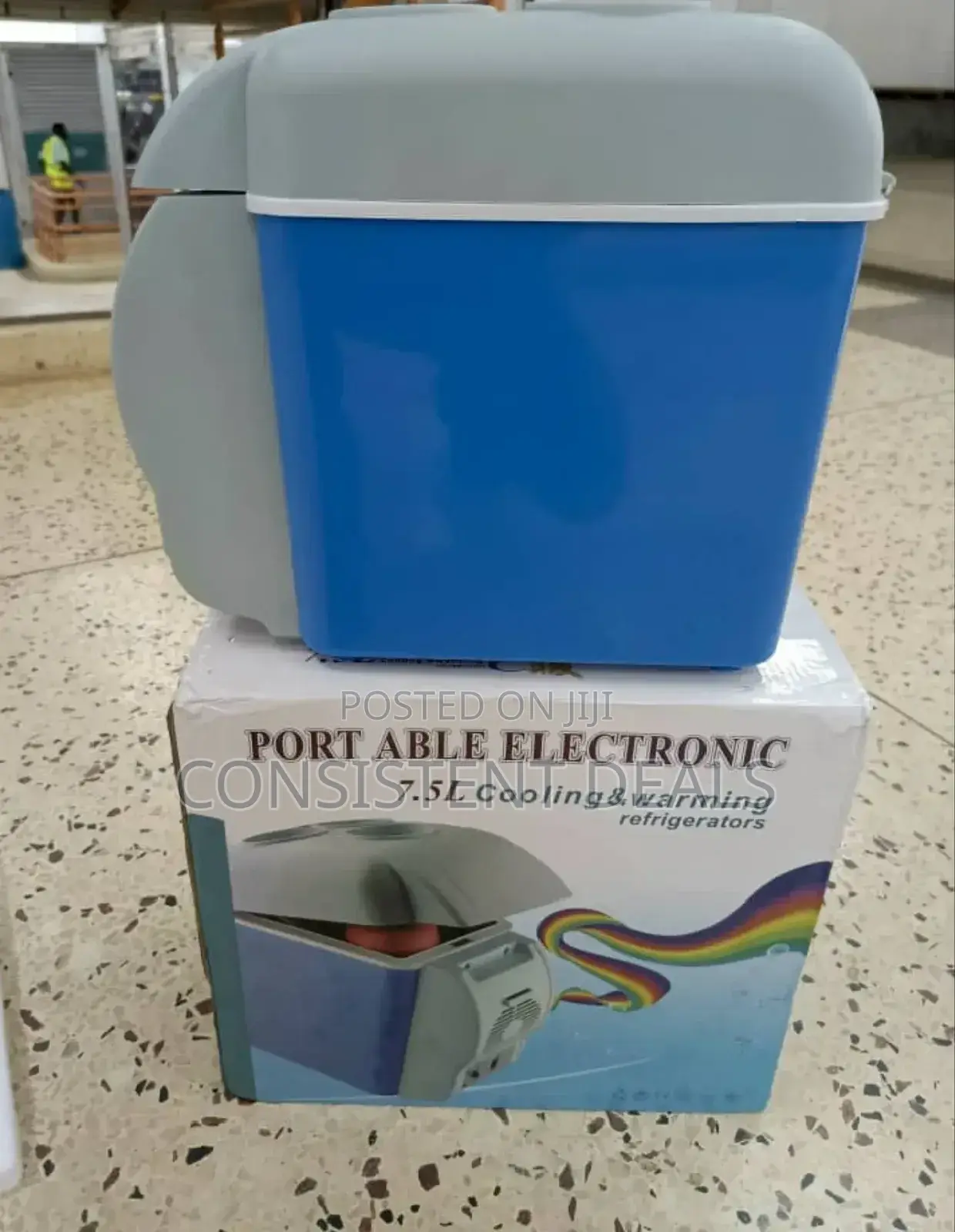 Mini Car Fridge