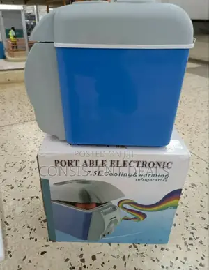 Mini Car Fridge