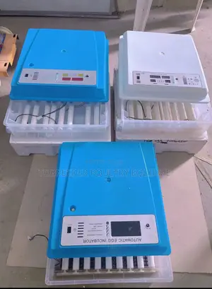 56 Egg Incubator