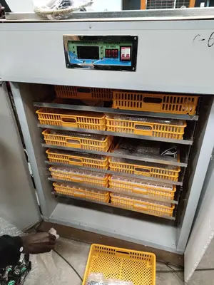 1056 Egg Incubator