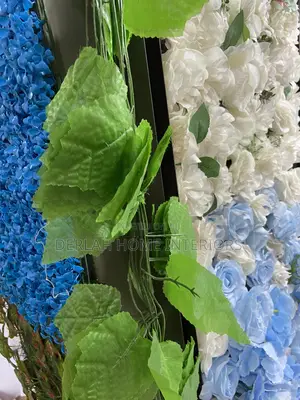 Climbing Leaves
