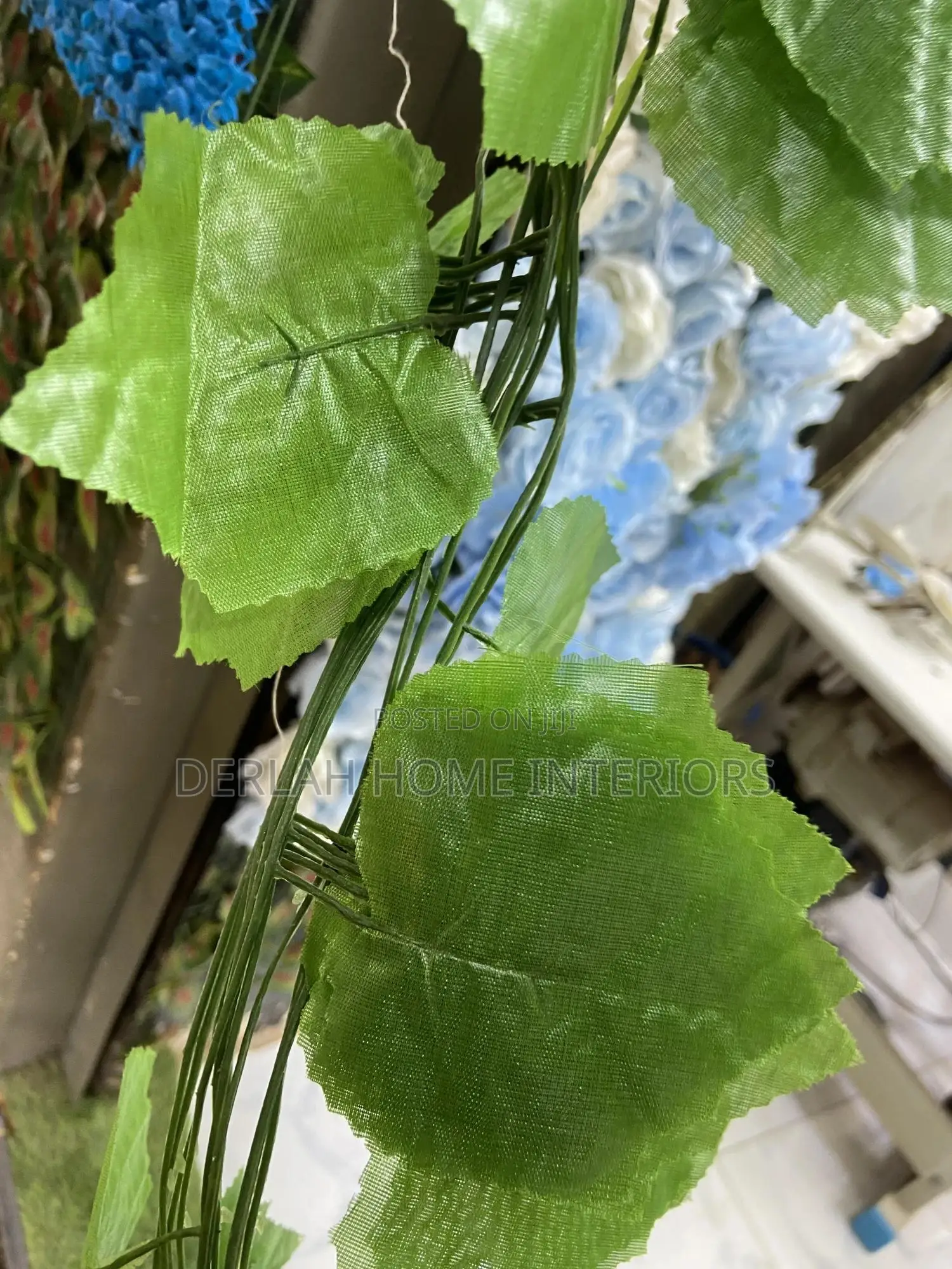 Climbing Leaves
