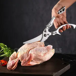Knife Edged Kitchen Scissors