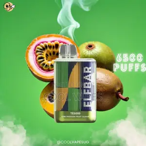 Elf Bar Te6000 Puffs Rechargable Vape