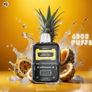Vapengin 6500 Puffs (Pod System) Vape