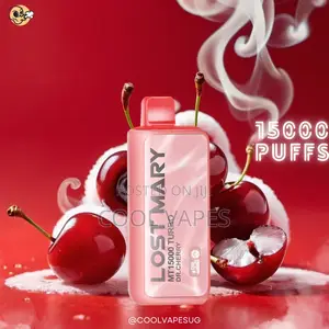 Lost Mary 15,000 Puffs Rechargeable Shisha Vape