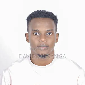 Web Developer