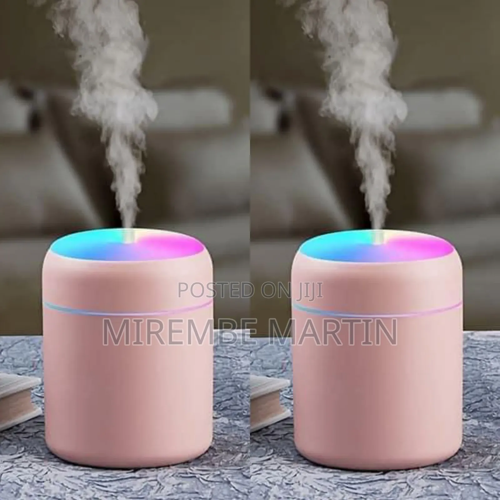 Portable Humidifier
