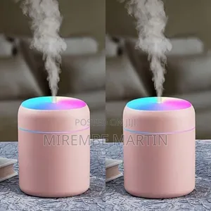 Portable Humidifier