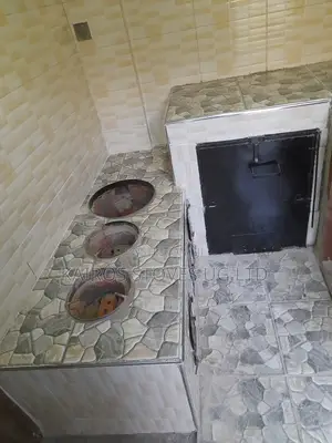Enervy Saving Cooking Stove With an Oven