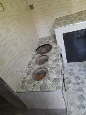 Enervy Saving Cooking Stove With an Oven