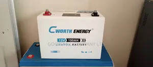 100ah Lithium Life Po4 Solar Battery