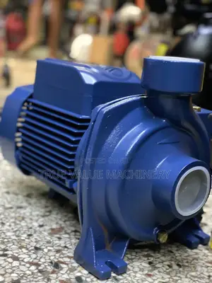 Water Pump Pedrollo 1.5 Hp