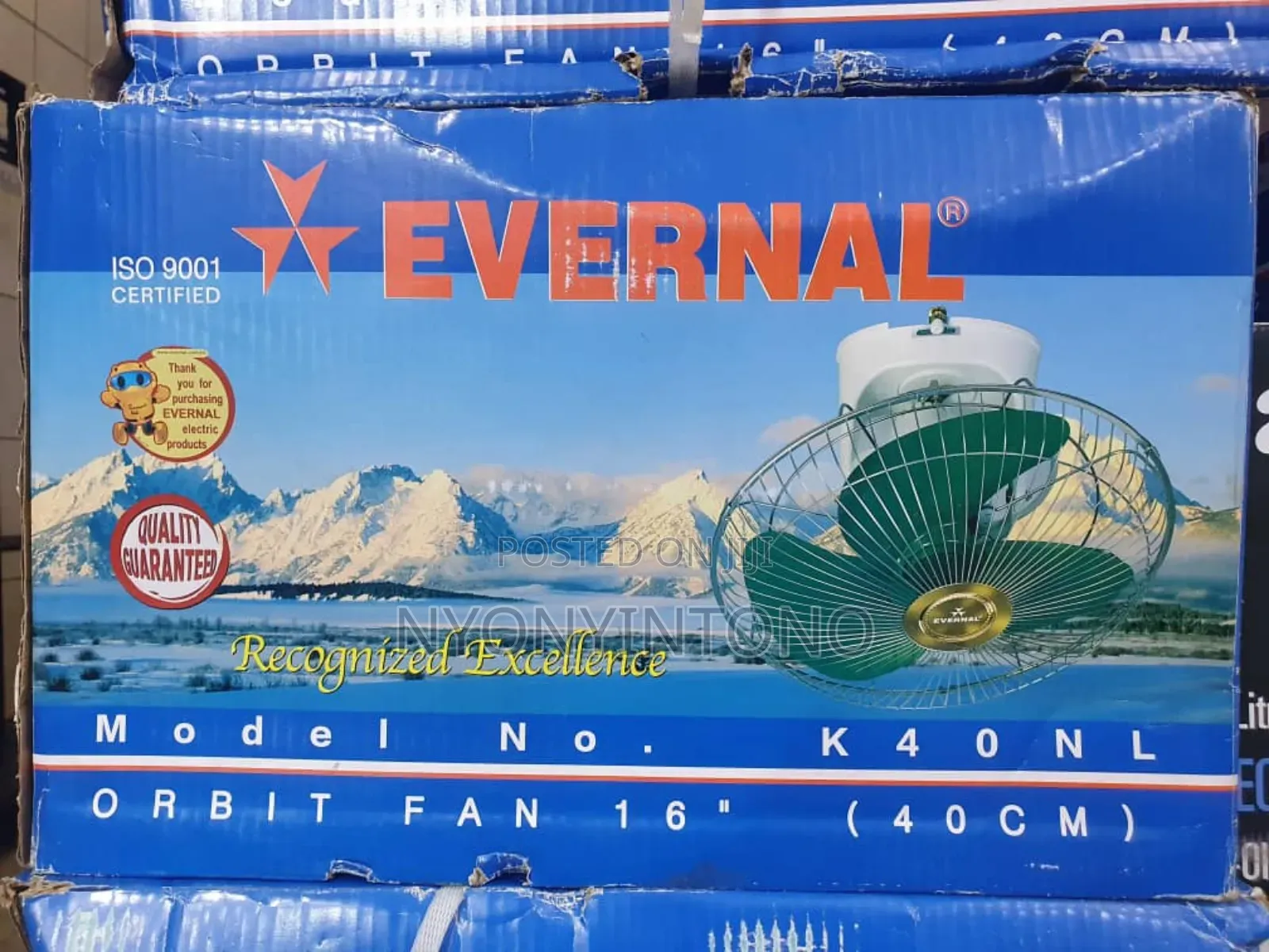 Evernal High Quality Ceiling Fan With 5years Warranty.