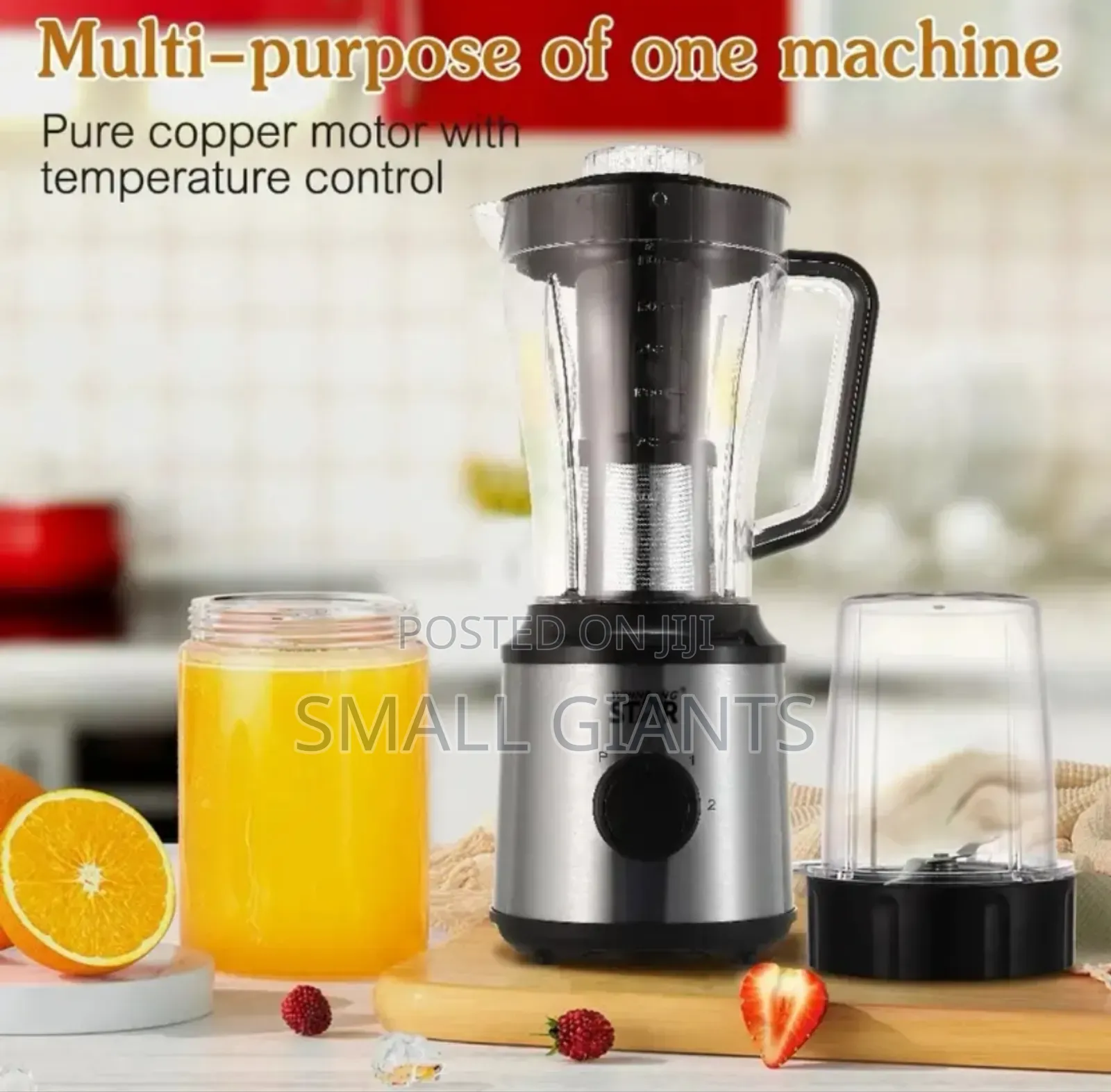 Winningstar 3in1 Multifunction Fruit Electric Blender Juicer