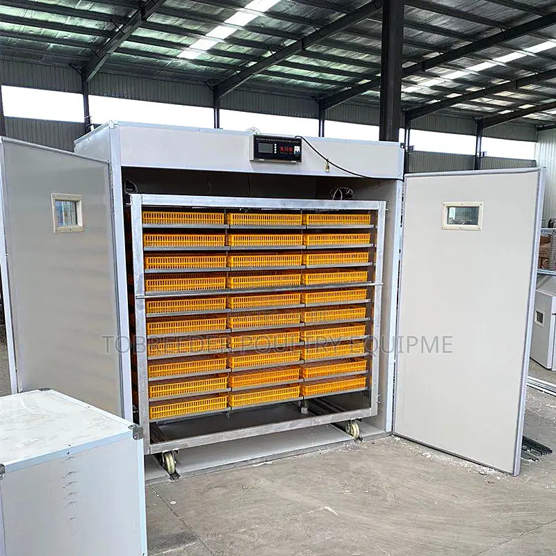 5280 Egg Incubator