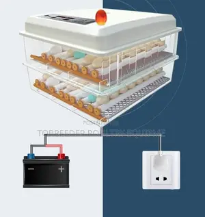 120 Egg Incubator