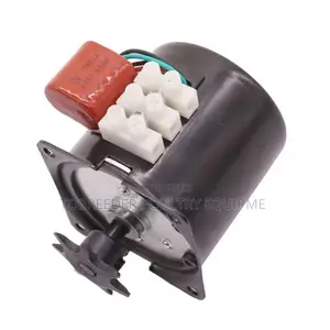 Incubator Motor