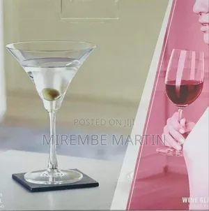 Drinking Wine Glass