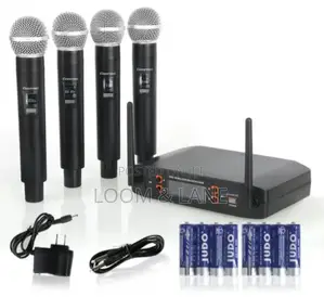 Professional Wireless Microphone