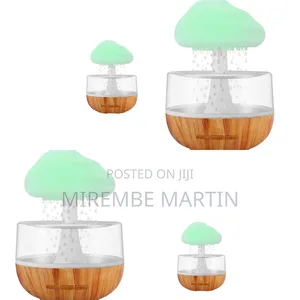 Rain Drops Humidifier