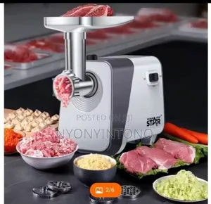 Winningstar Electric Meat Mincer.