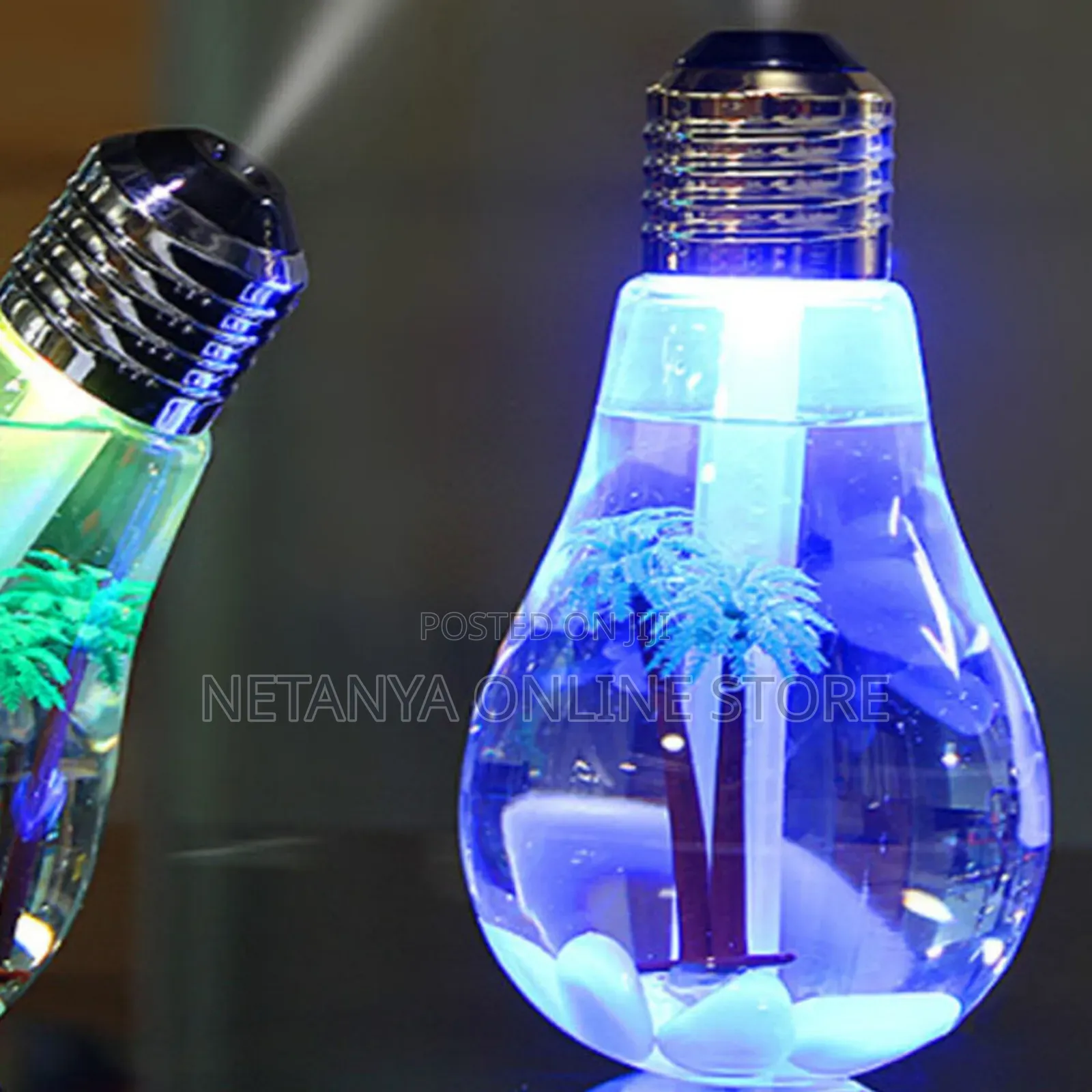 USB Mini Bulb Humidifier