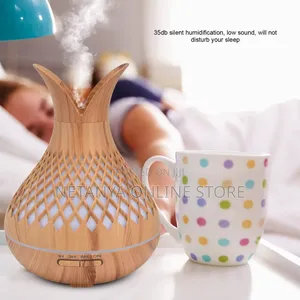 500ml Essential Oil Humidifier
