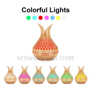 500ml Essential Oil Humidifier