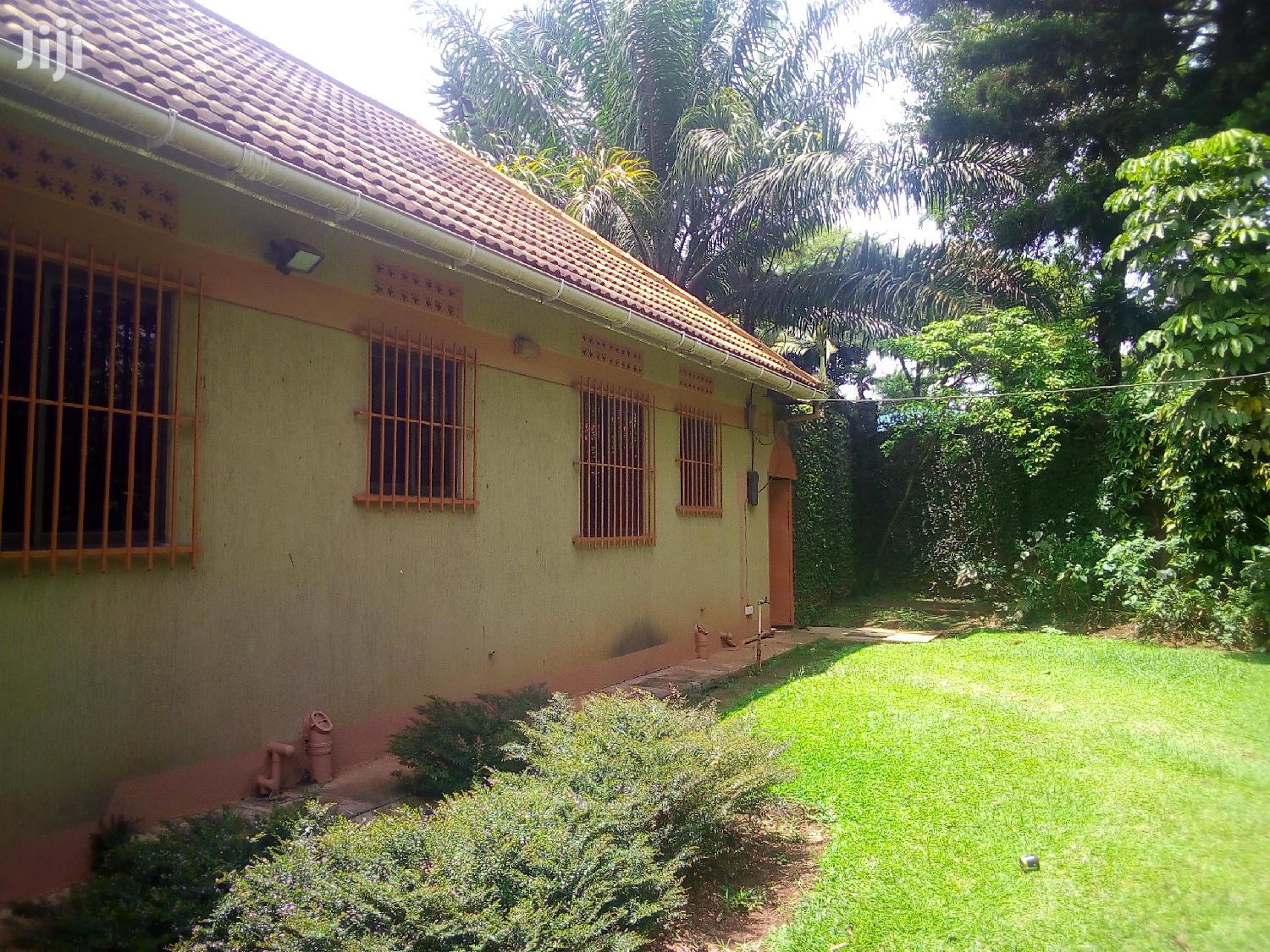 House For Rent