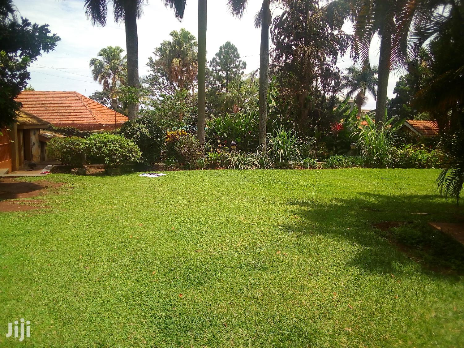 House For Rent