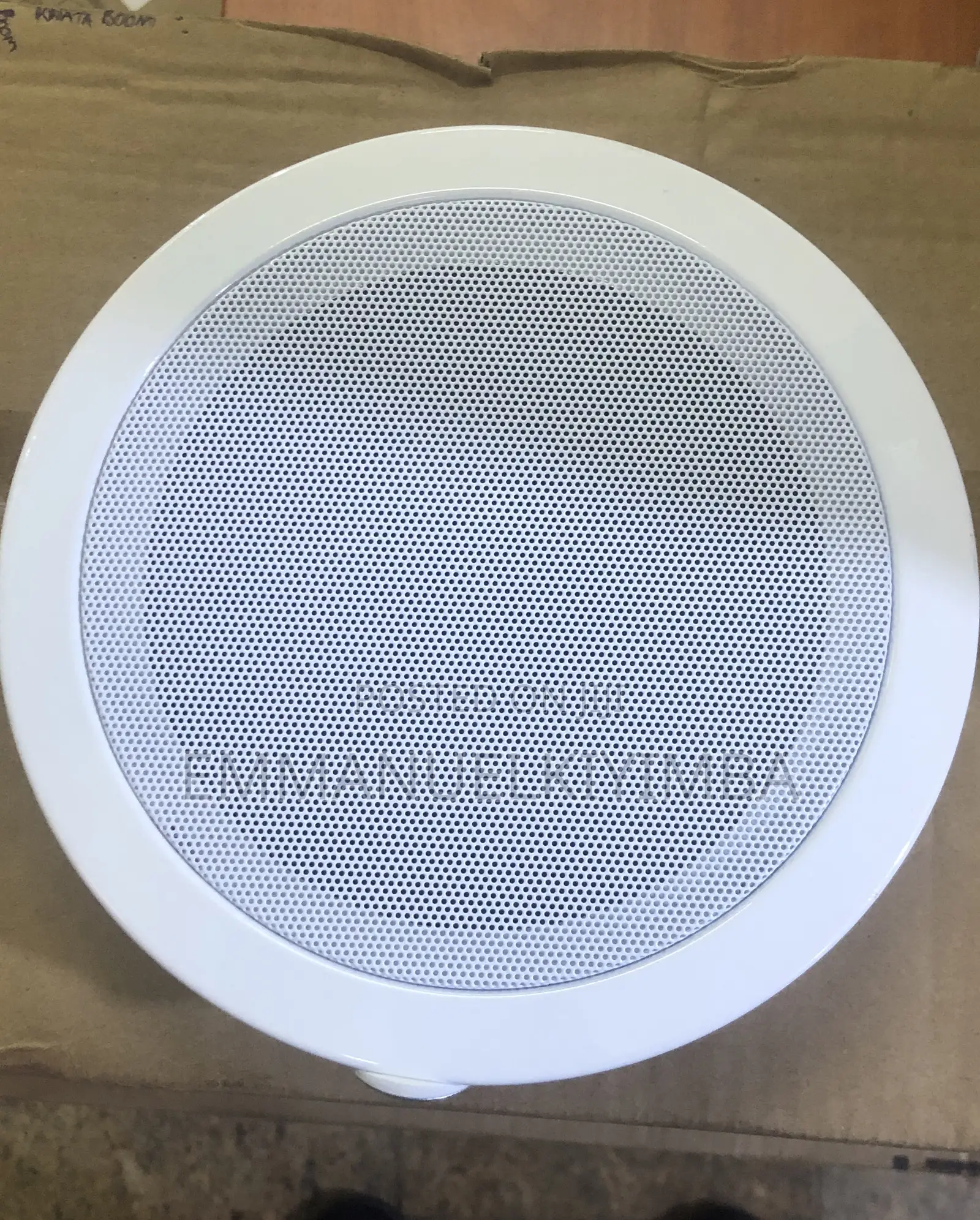 Ceiling Speakers