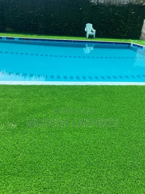 Artifical Turf