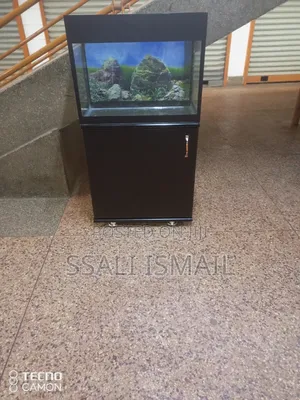 Medium Size Aquarium at Affordable Price